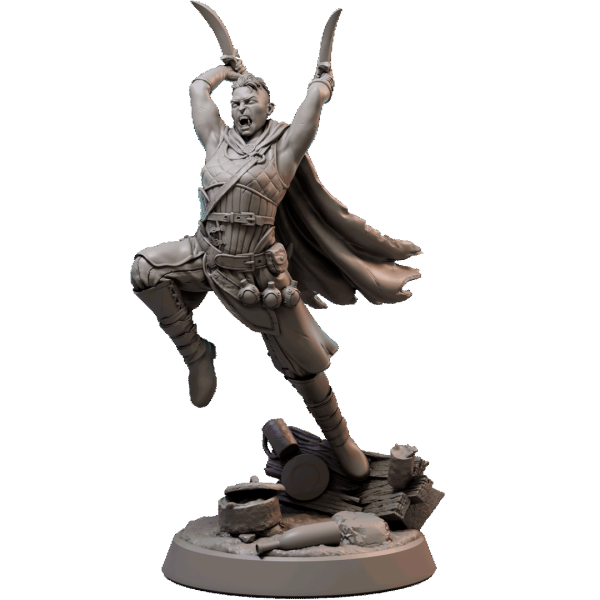 Half-Orc Rogue