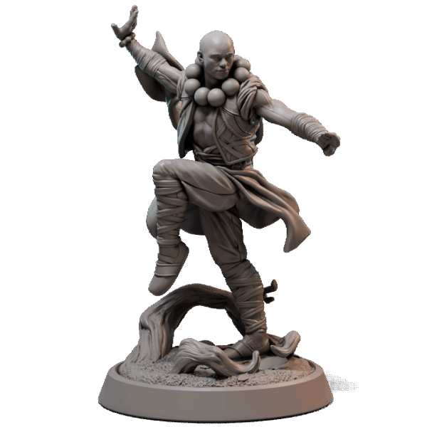 Human Monk