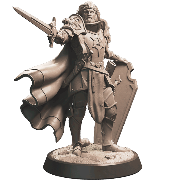 Human Fighter/Paladin