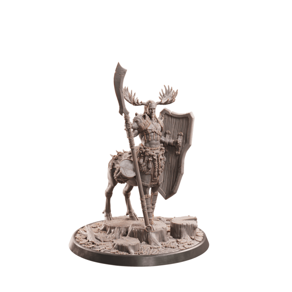 Centaur Barbarian/Fighter