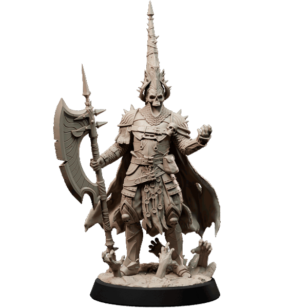 Human Paladin