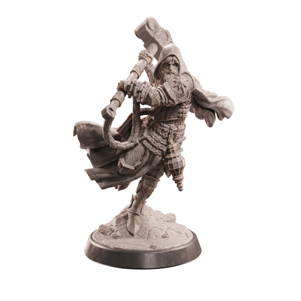 Human Cleric Paladin