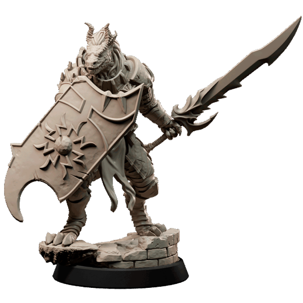 Dragonkin Fighter/Paladin