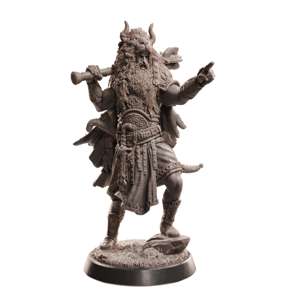 Human Barbarian/Fighter