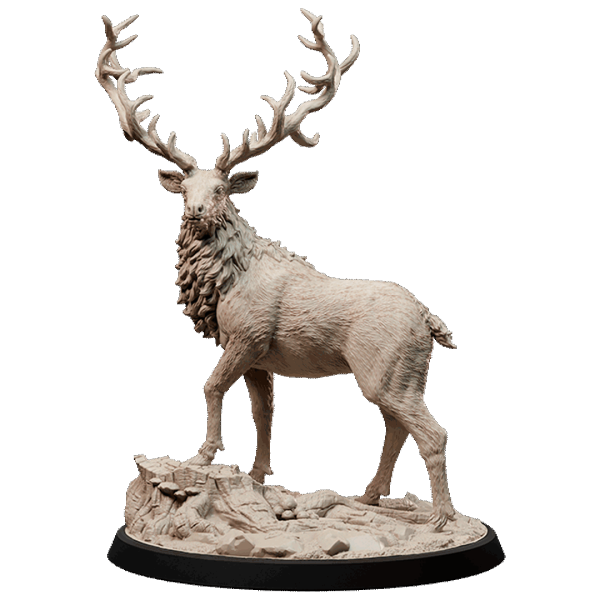 Deer