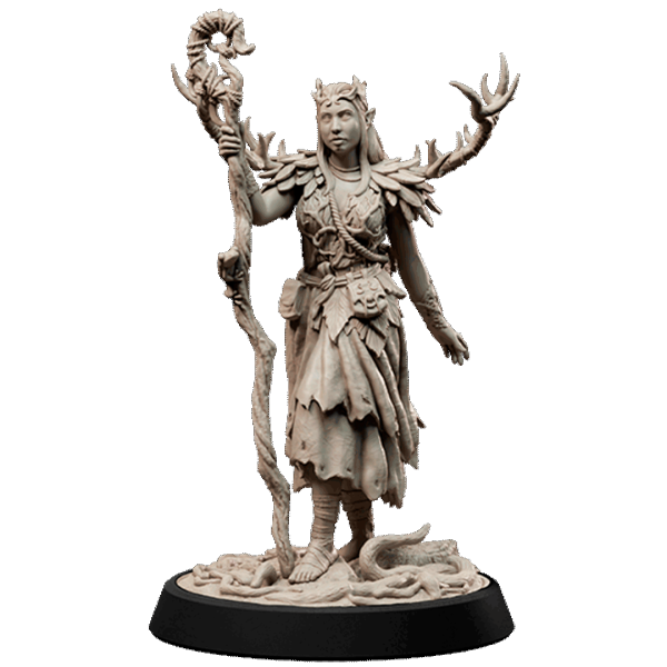 Elf Druid