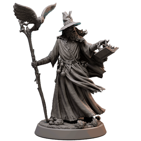 Human Wizard