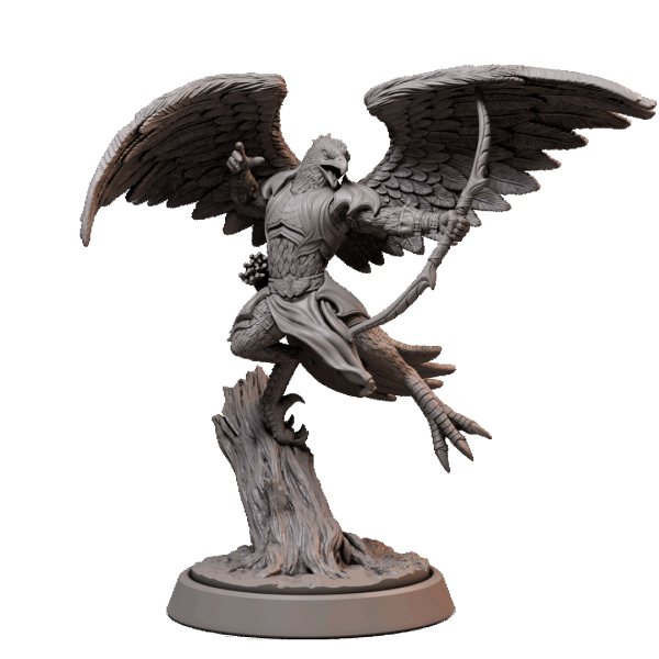 Birdfolk Aarakocra Fighter