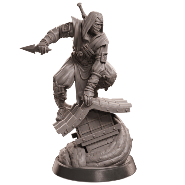 Human Monk/Rogue