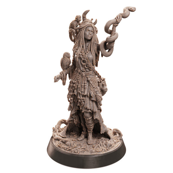 Human Druid