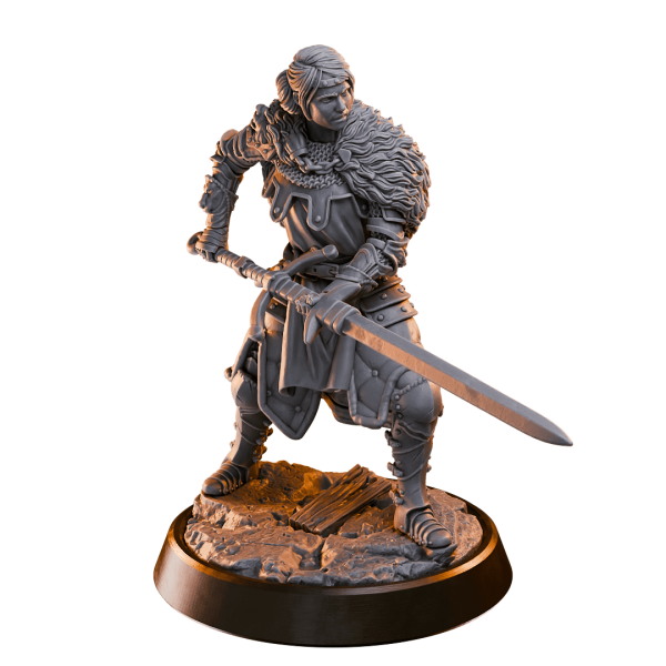Human Paladin